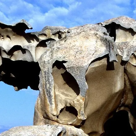 La Musa * Palau